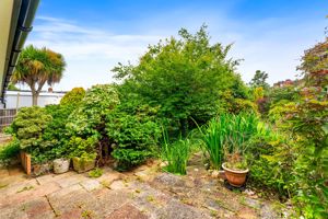 Photo 1- click for photo gallery